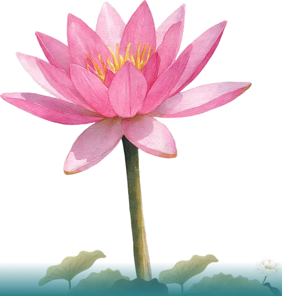 Lotus Flower